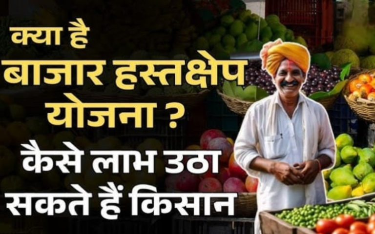बाजार हस्तक्षेप योजना और मूल्य घाटा भुगतान योजना